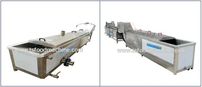 Automatic Cucumber Blanching Machine and Vegetable Blanching Machine