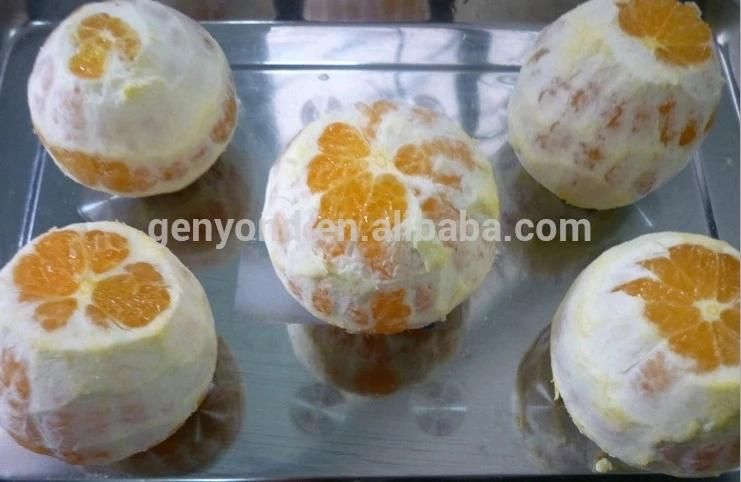 Complant Fruit Jam Processing Machines