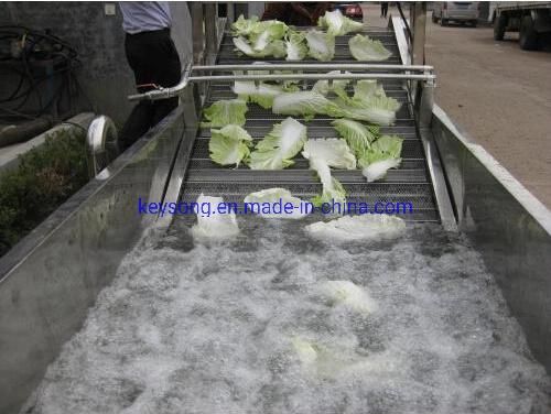 Energy Saving Automatic Garlic Onion Pepper Blueberry Strawberry Washing Equipment