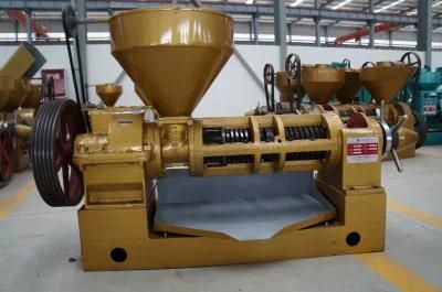 Continuous Screw Oil Press
