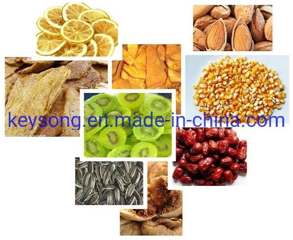 Continuous Hot Air Circulation Mesh Belt Dryer Food Machine