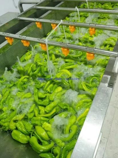 Commercial Apple Strawberry Blueberry Cherry Fruit Vegetable Washing Machine