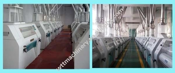 Maize Corn Flour Production Plant Wheat Flour Mill Home Wheat Grinding Machine
