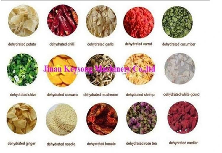 Good Quality Dehydrated Vegetable Fruit Production Line