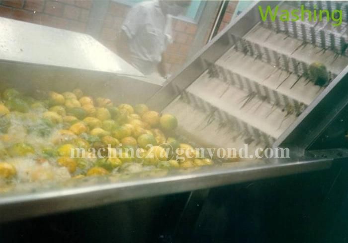 Complete Ficus Carica Powder Production Line
