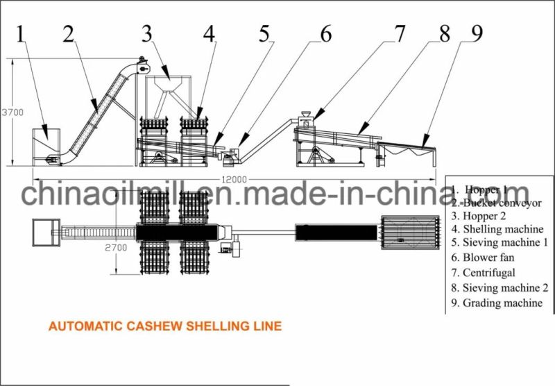 500-1000kg/Hour Automatic Cashew Processing Cashew Nuts Peeling Shelling Machine