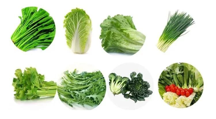 Vegetable Chopper Leaf Cutting Machine Vegetable Cutting Machine