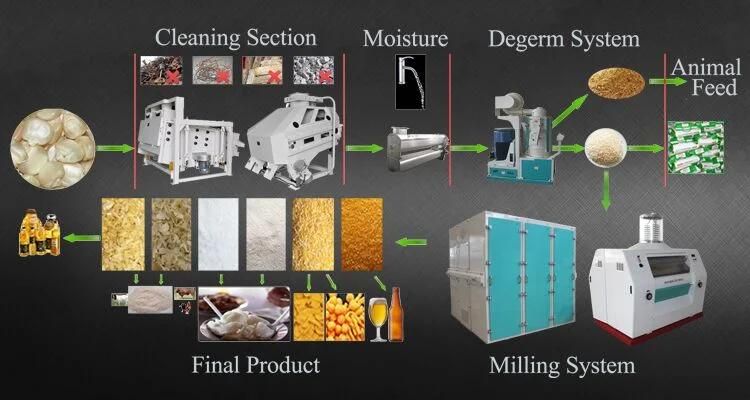 70t/24h Corn Grinder Corn Milling Machine in Kinshasa Dr Congo