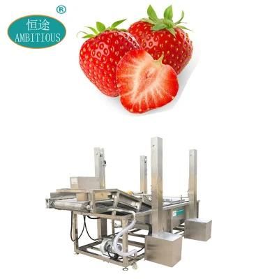 Industrial Conveyer Belt Washer Fruit Strawberry Washing and Cleaning Machine