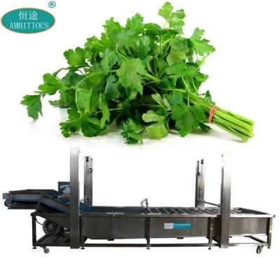 Water Bubble Washing Machine Salad Cleaning Leafy Vegetable Herb Washer
