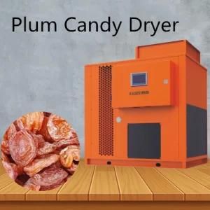 Quality Guaranteed Drying Equipment Food Dehydrator Air Hot Plum Candy Dryer