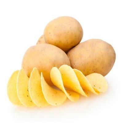 Fresh Potato Chips Snack Food Processing Line