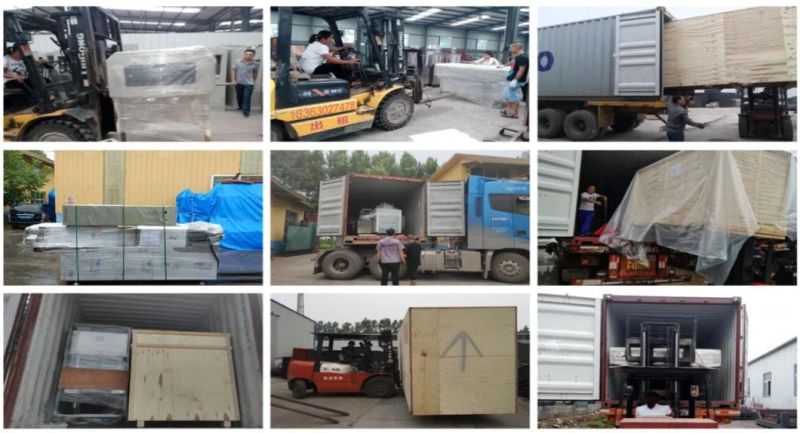 Animal Food /Pet Fish Feed Making Plant Fully Automatic Animal Feed Extruder