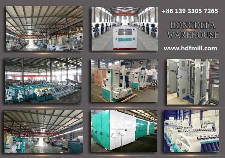 100t/24h Maize Flour Grinding Machine Maize Processing Machine Kitwe Zambia