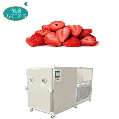 Vacuum Freeze Drying Lyophilizer Fruits Strawberry Vacuum Freeze Dryer