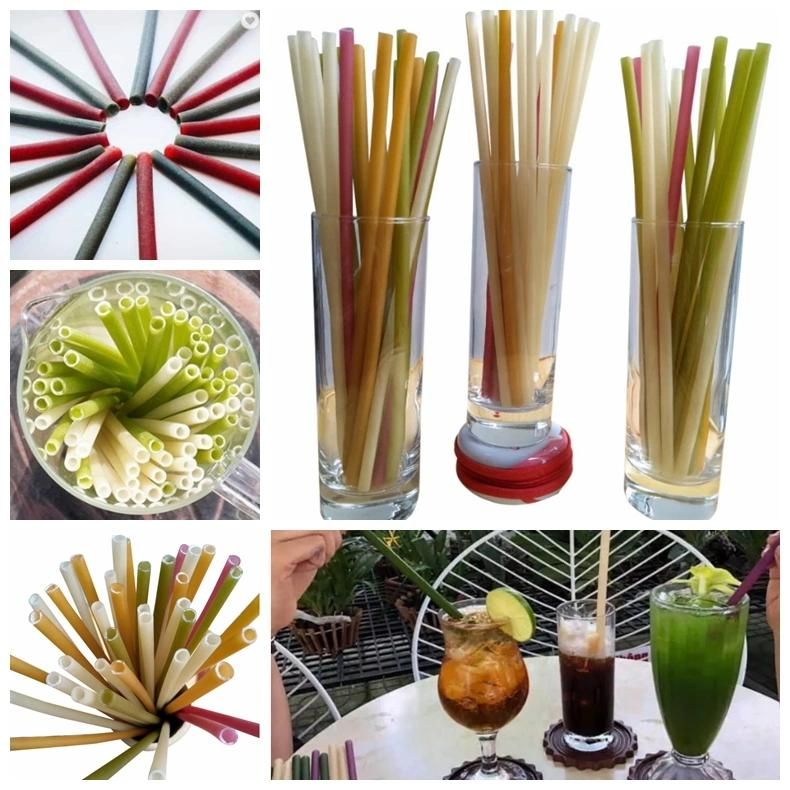 2019 Hot Sale Rice Straw Extruder with Ce & ISO