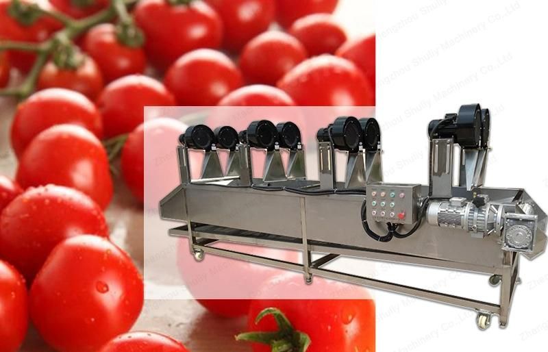Vegetable Line Washing Fruit Washer Cleaning Processing Machine