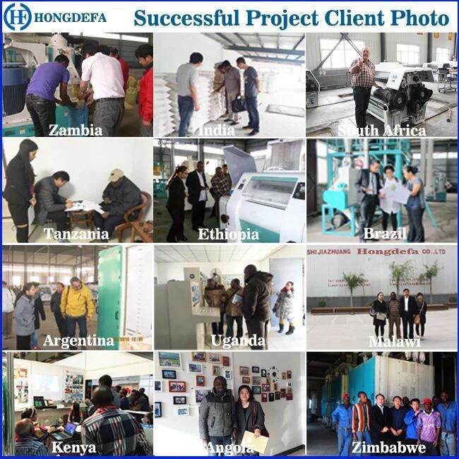 ISO Certified Corn Mill Flour Grits Processing Equipment