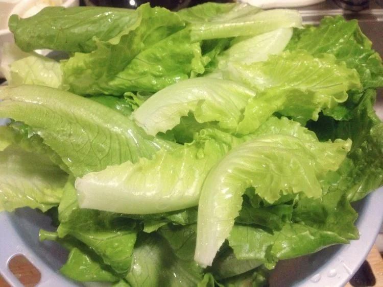 Vegetable Cleaner and Washing by Ozone Leafy Green Washing Machine
