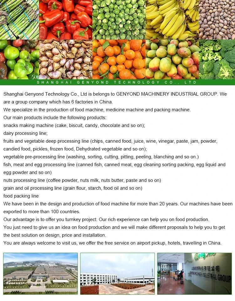 Fruit Alcoholic Drink Production Line Price