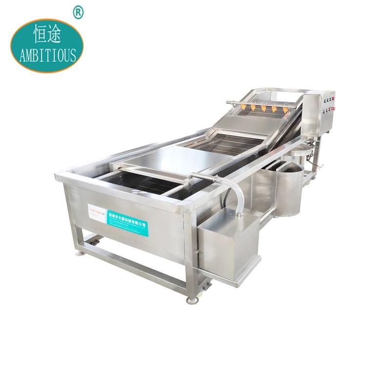 Industrial Commercial Small Mango Cassava Fruit Washing Machine Ginger Potato Lettuce Tomato Carrot Vegetable Washer