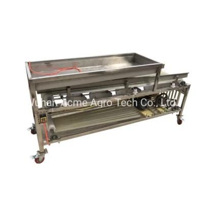Dates Avocado Onion Size Grading Sorting Machine