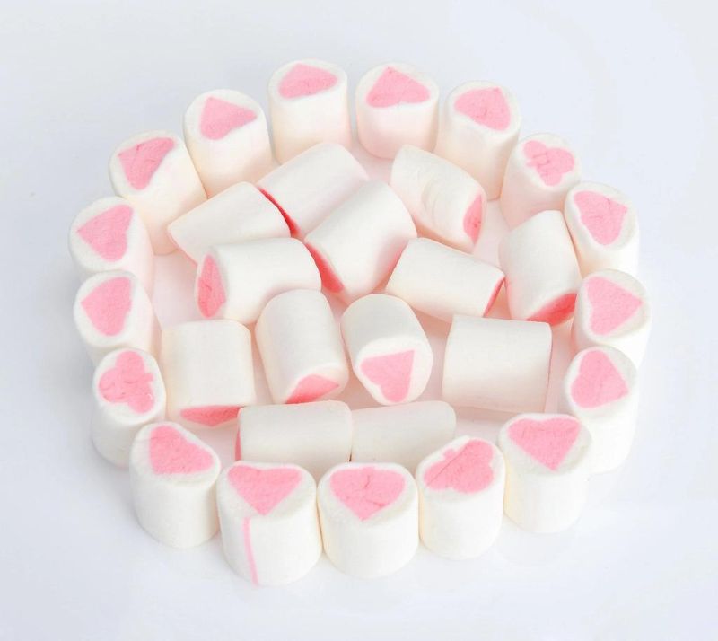 Exm5600 New Type Marshmallow Extruding Production Line with High Quality