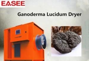 Agricultural Drying Equipment Medicine Processing Machine for Ganoderma Lucidum Dryer