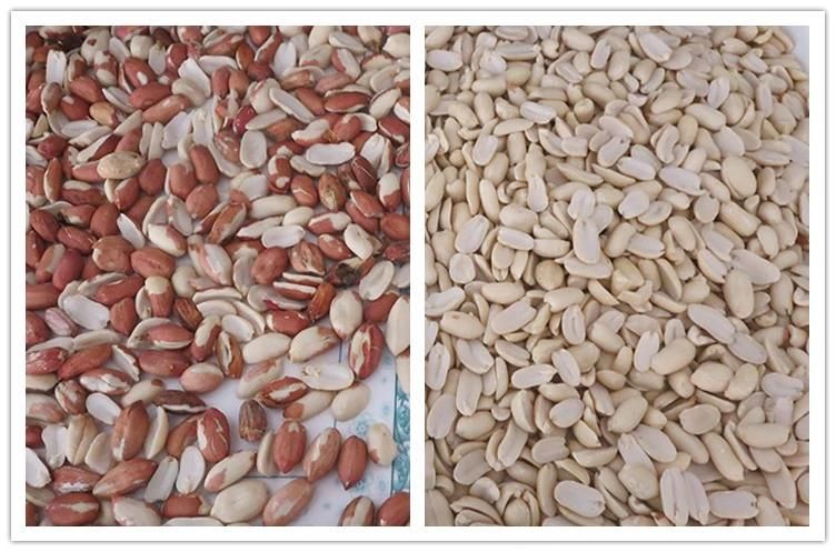 Peeled Peanut Processing Equipment 5 Chutes Color Sorting Machine
