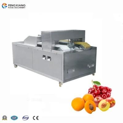 Commercial Olive Plum Pit Extracting Hawthorn Core Removing Machine