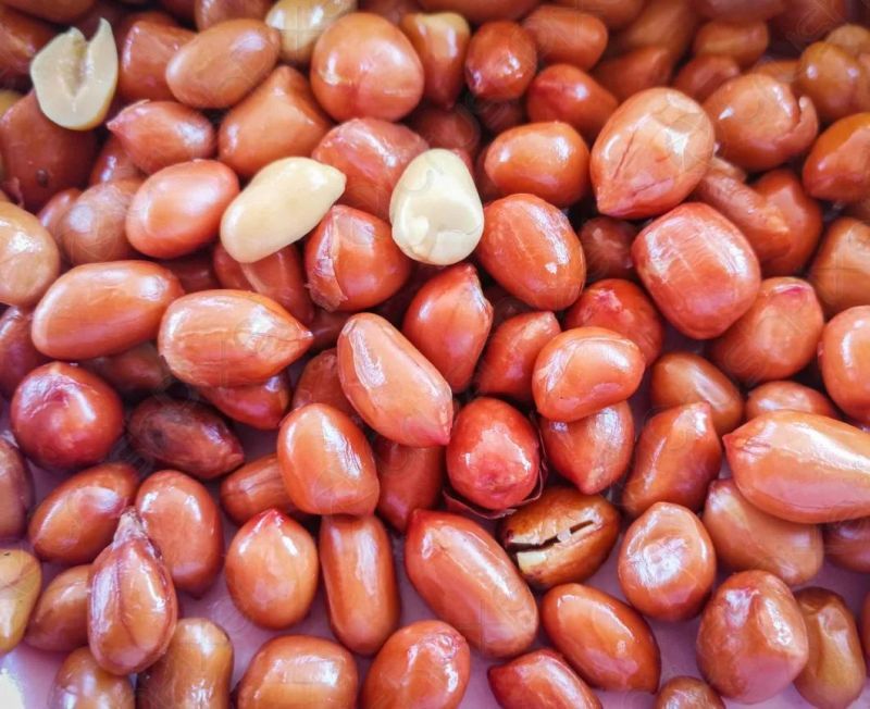 Conveyor Belt Continuous Groundnut Frying Machinery Fryer Machine