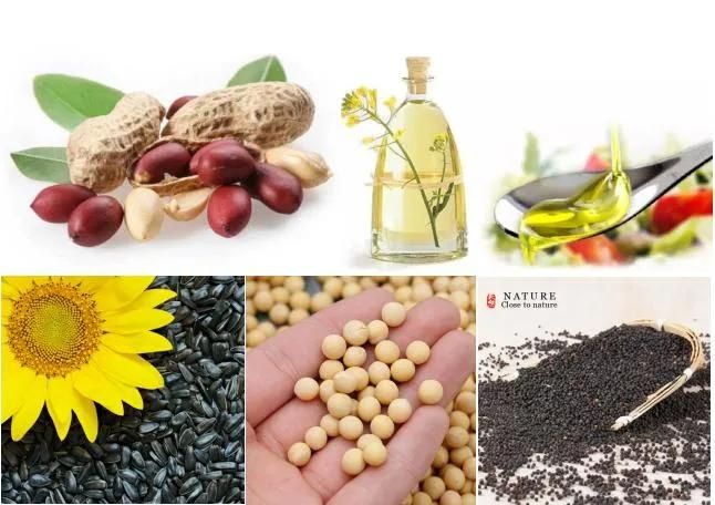 Chengli Machinery Black Seeds Oil Press Machine Olive Oil Pressing Machine for Sale