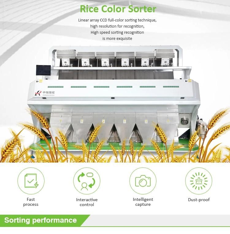 High Quality Rice Color Sorting Machine