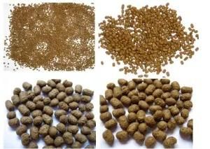 Twin Screw Extruder Dog Food Making Machine