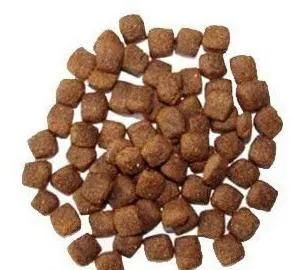 New Large Capacity Twin Screw 500kg/Hr Pet Food Machine