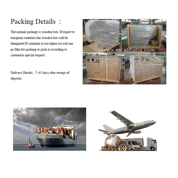 Professional Full Automatic Frozen Meat Cutting Machine