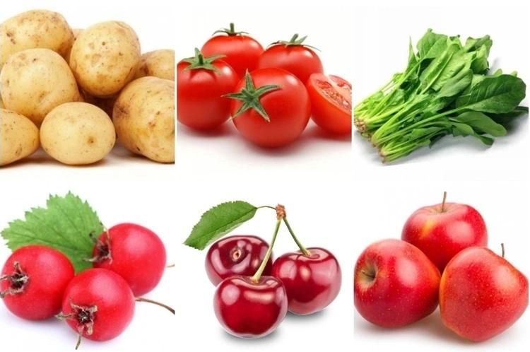 High Quality Automatic Vegetable Cleaning Machinery Manufacturer Price