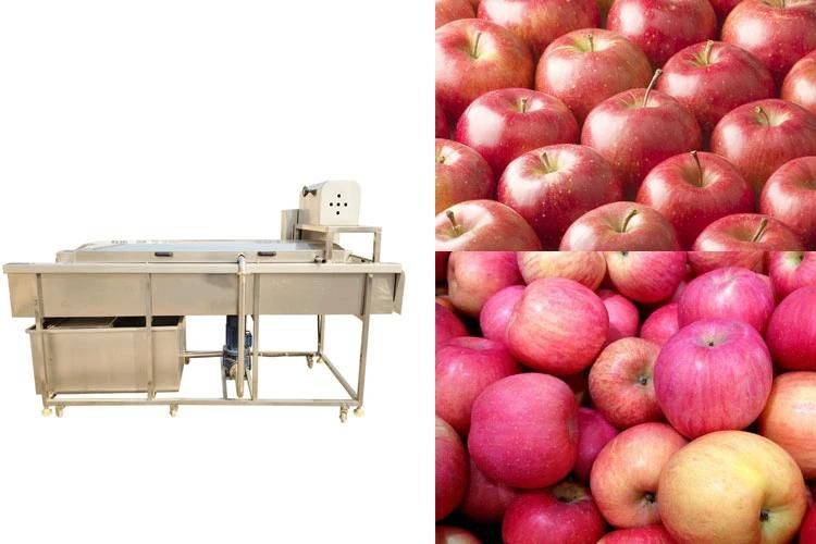 Brush Fruits Washing Cleaning Machinery Automatic Apple Washer Machine