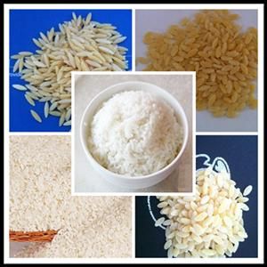 New Tech and High Output Nutrition Rice Making Machine