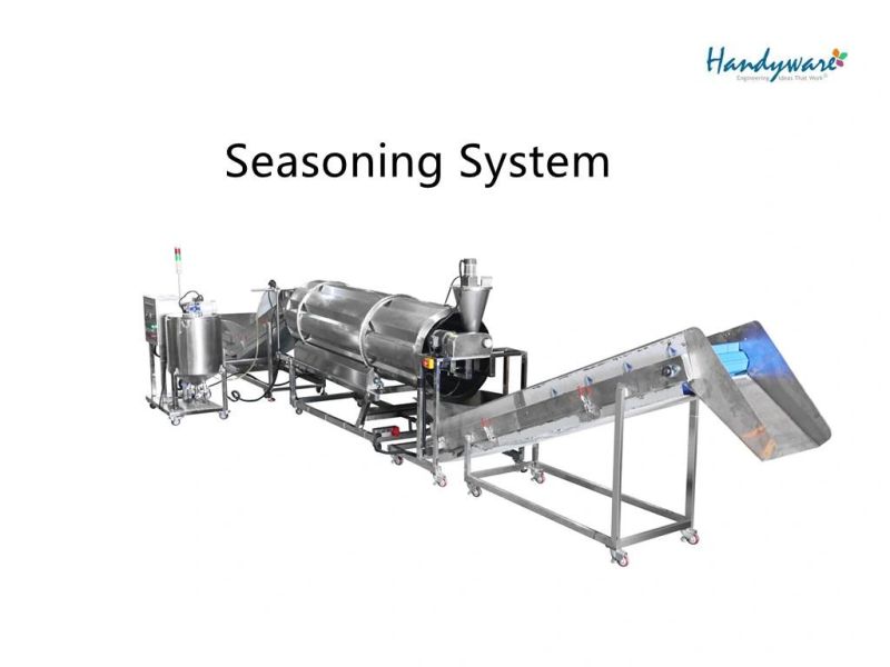 Seasoning System for Puffed Chips Crisp Chips