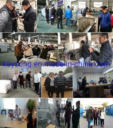 Vegetable Dehydrated Machine Fruit Dehydrator