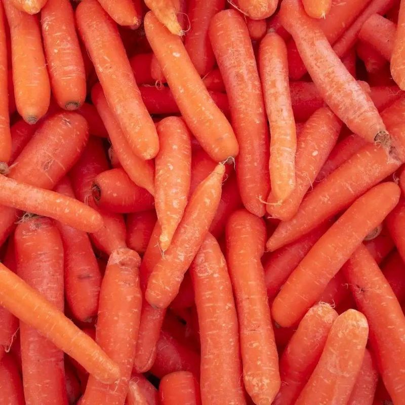 Brush Vegetable Washing Machine Water Spray Brush Carrot Washer