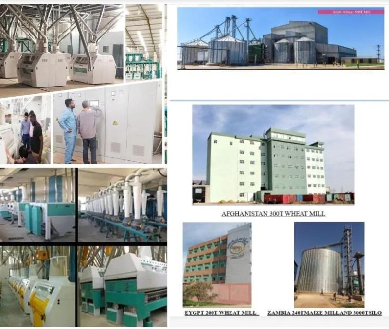 Flour Mill High Standard Wheat Flour Plant