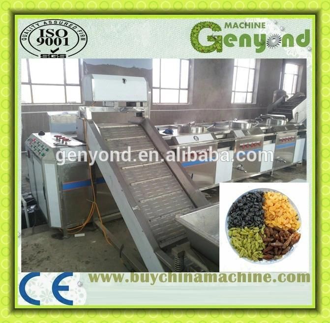 Raisin Processing Machine in Shanghai Factory