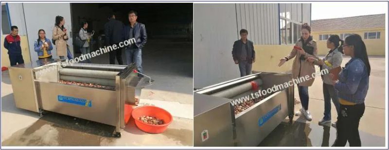 Fan Shell Washing Machine Fan Shell Washer Scallop Cleaning Machine