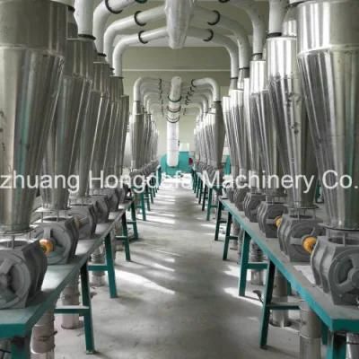 Supply 200ton 300ton Wheat Flour Mill with Low Consumtion Long Life