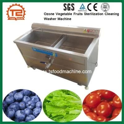 Food Sterilizer Ozone Vegetable Fruits Sterilization Cleaning Washer Machine