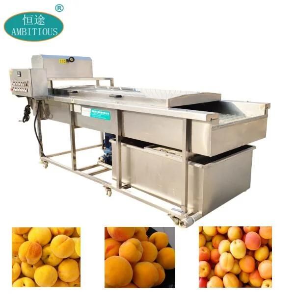 Yellow Peach Washing Machine Peach Can Processing Line