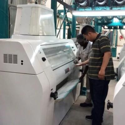 Kenya Zambia 100t/24h Maize Flour Milling Machines