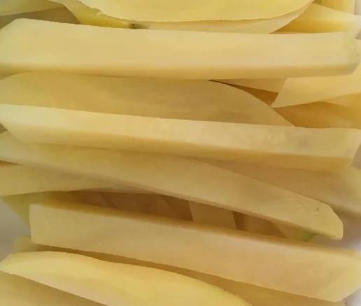 Potato Chips Making Equipment Small Steam Heated Water Blanching Machine for Potatoes